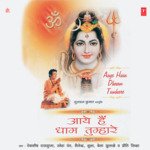 Aaye Hain Dhaam Tumhare - Super Cassettes Industries Private Limited Song Download